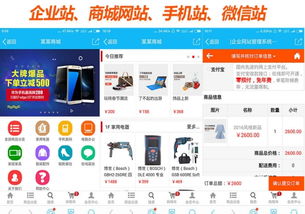 上海正規公司企業網站建設 600全包 送 域名