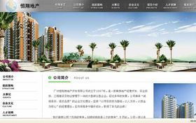 商丘網(wǎng)站建設(shè) 選擇專業(yè)網(wǎng)絡(luò)公司，打造卓越網(wǎng)站